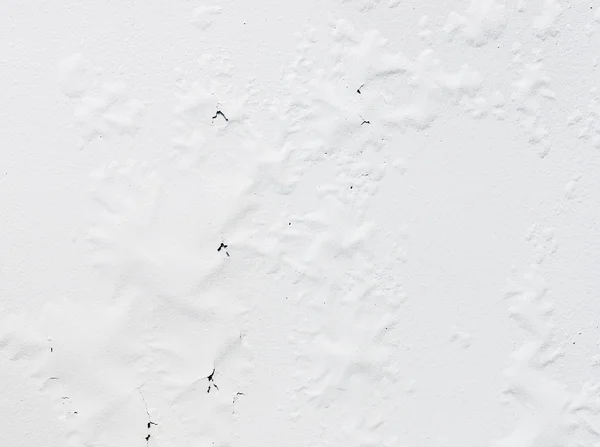 Peeling witte muren — Stockfoto