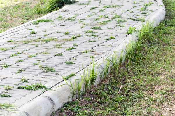 Chemin en brique naturelle — Photo