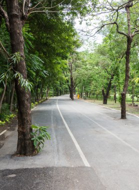 Boş çalışan ve bisiklet lane