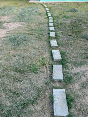 Yeşil çimlerin üzerinde doğal bir bahçe tasarımı ve ev manzarası konseptini gösteren basit bir beton tuğla geçidi..