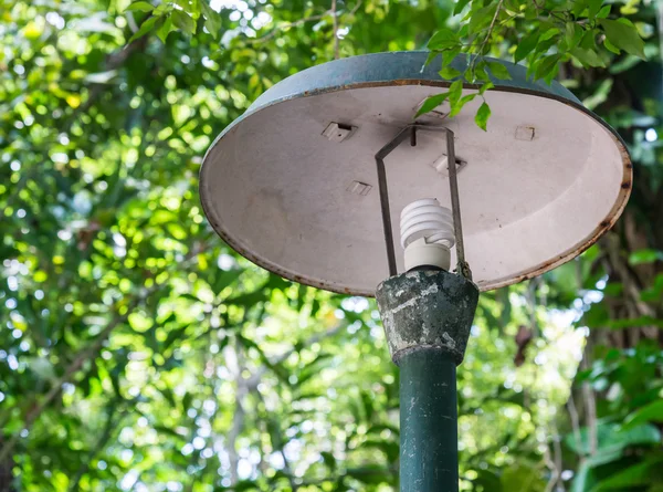 Old bulb pole — Stock Photo, Image