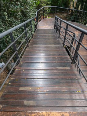 Botanik bahçesinin içinde yemyeşil bir yeşillikle çevrili metal ve ahşap bir rampa geçidi. Doğal sükunet ve çevre tasarımı seyahat ve doğa kavramları için mükemmel..