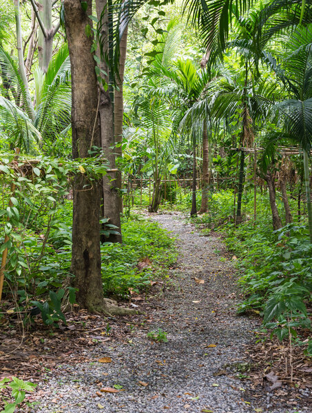 Кривая гравия
