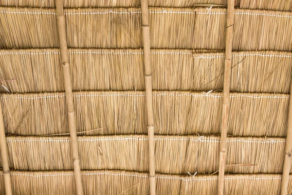 Inside of thatch roof — Stock Photo, Image