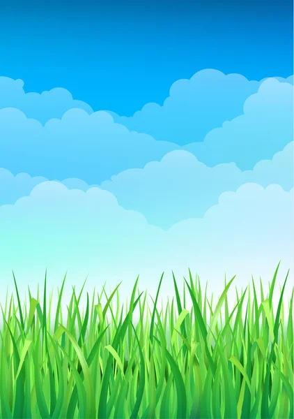 Fondo de hierba verde y cielo azul. Feliz verano Naturaleza Ilustración — Vector de stock