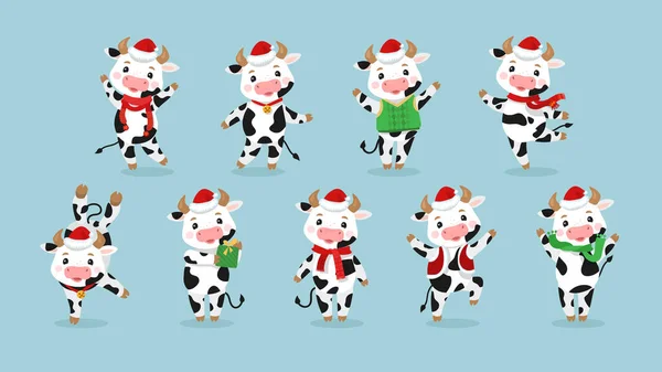 Szczęśliwego Nowego Roku Krowy z kreskówek. Białe krowy i byki świętują 2021 rok. Nowy Rok Wołu. Bull postać z kreskówki w Santa Hat, zestaw śmieszne zwierzęta — Wektor stockowy