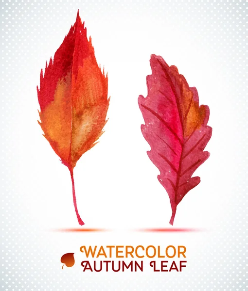 Watercolor autumn leaf.Vector illustration of watercolor hand drawn plant. — Stock Vector