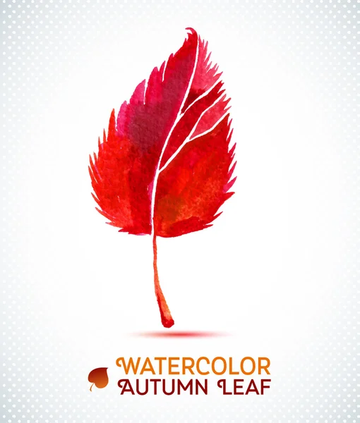 Watercolor autumn leaf.Vector illustration of watercolor hand drawn plant. — Stock Vector