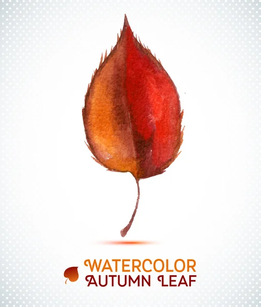 Watercolor autumn leaf.Vector illustration of watercolor hand drawn plant. — Stock Vector
