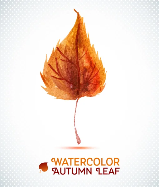 Acuarela hoja de otoño.Vector ilustración de acuarela planta dibujada a mano . — Vector de stock