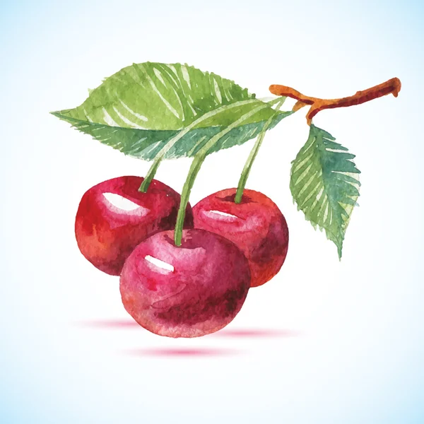 Cherry berry instellen met blad. Aquarel hand getrokken illustratie — Stockvector