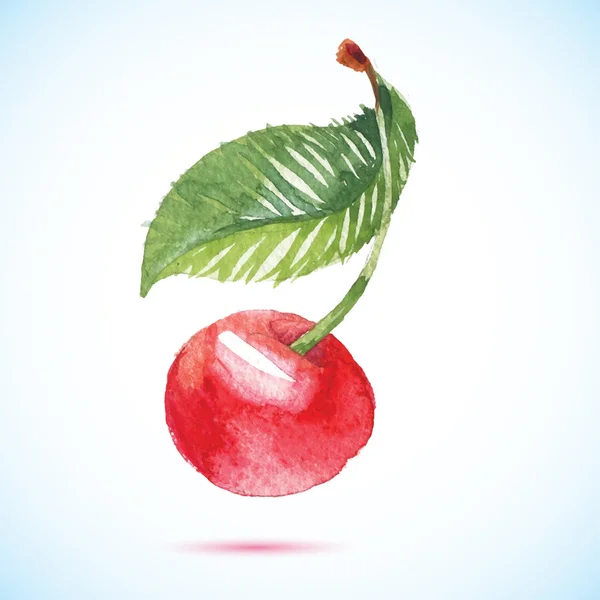 Kiraz meyve yaprak ile ayarla. Suluboya elle çizilmiş illüstrasyon — Stok Vektör