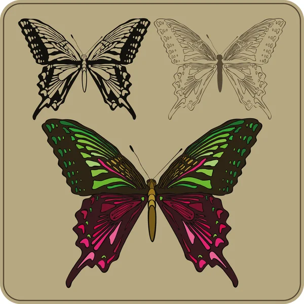 Conjunto de mariposas, dibujo a mano. Ilustración vectorial — Vector de stock