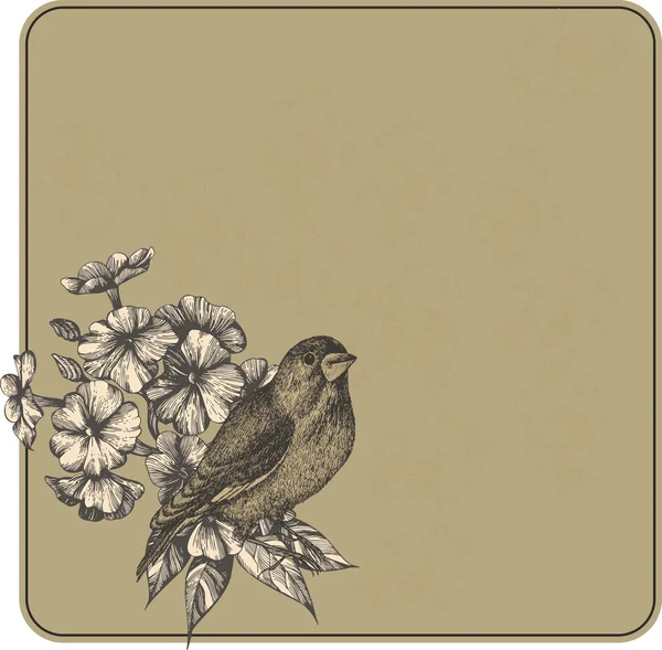 Vector εικονογράφηση. Vintage φόντο με λουλούδια και πουλιά, — Διανυσματικό Αρχείο