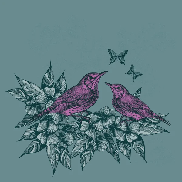 Fondo primavera con due uccelli rosa e farfalle, disegnare a mano — Vettoriale Stock