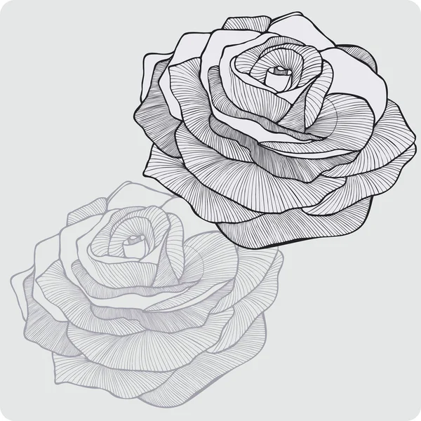 Vintage flower rose, ruční kreslení. Vektorové ilustrace. — Stockový vektor