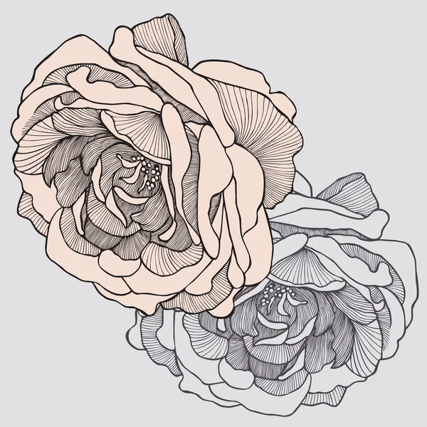 Tea rose, hand-drawing. Vector illustration. 로열티 프리 스톡 일러스트레이션