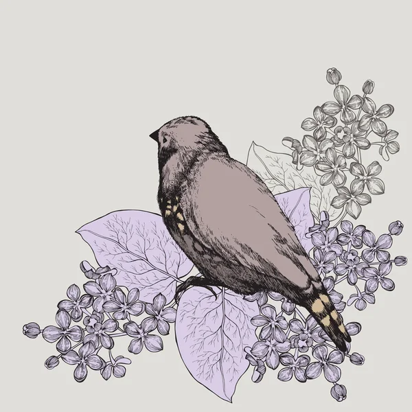 Spring background with bird and a lilac, hand-drawing. Vector il — Stock Vector