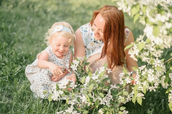 Mom shows little daughter apple blossoms — Fotografia de Stock