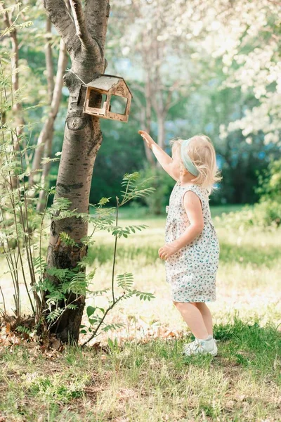 Girl reaches for bird feeder in the park — Stock Photo, Image