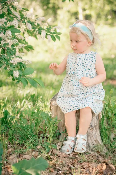 A little girl sits on a stump in a park near a flowering apple tree — Stock Photo, Image