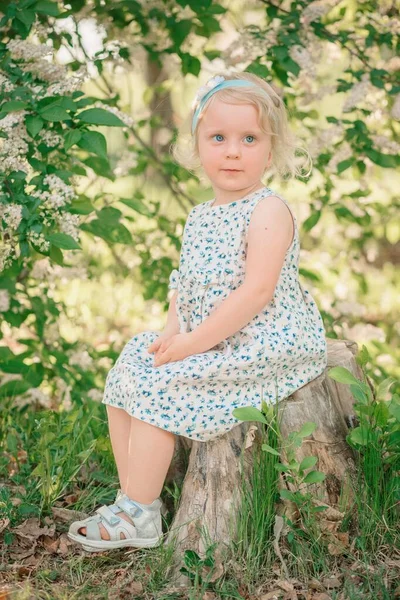 A little girl sits on a stump in a park near a flowering apple tree — Stock Photo, Image