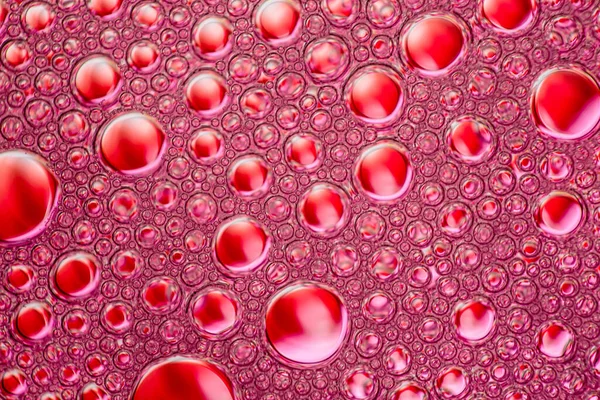 Rote Blasen auf rosa Hintergrund — Stockfoto