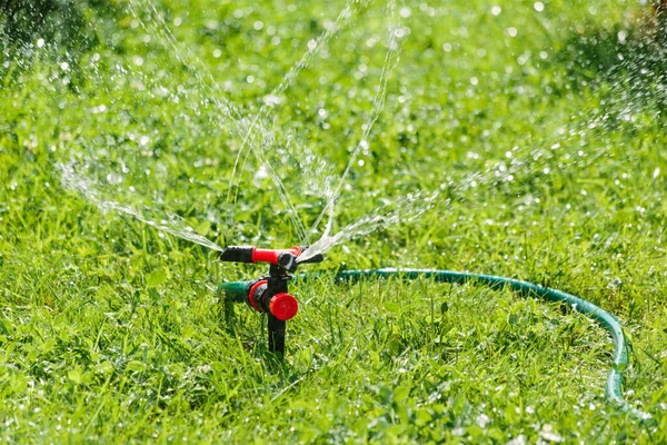 Автоматическое поливание орошением в саду — стоковое фото