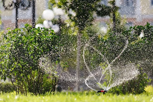 Aspersor de césped en acción. Aspersor de jardín en un día soleado de verano durante el riego del césped verde en el jardín —  Fotos de Stock