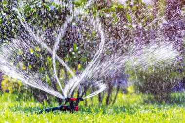 Yeşil çimlerin fıskiye sistemiyle sulanması