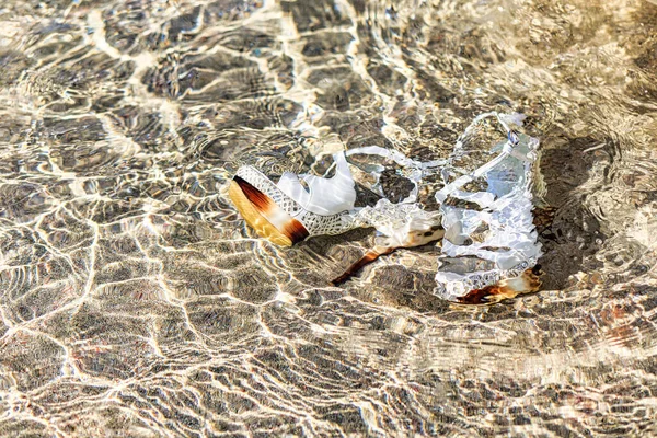 Damensandalen im Wasser am Sandstrand — Stockfoto