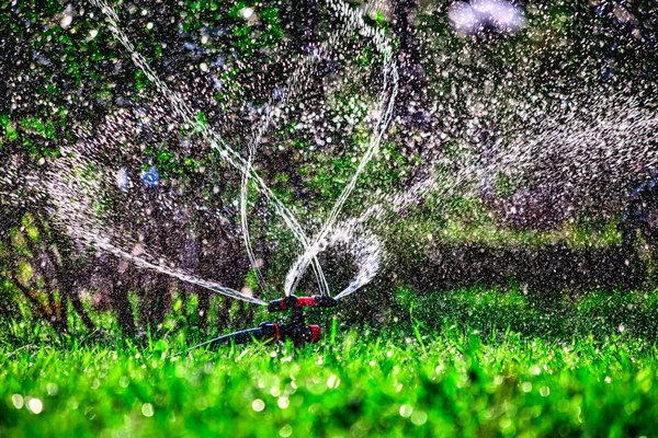 Rasenbewässerungssystem. Bei sehr heißem Wetter Wasser auf den Rasen sprühen. — Stockfoto