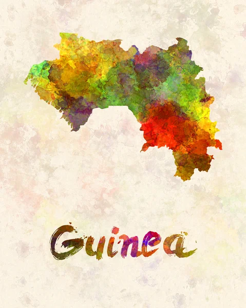Guinea v akvarelu — Stock fotografie