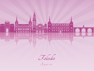 Mor parlak orkide Toledo manzarası