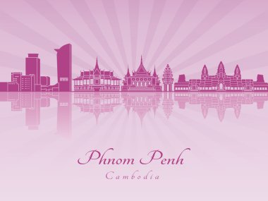 Phnom Penh manzarası içinde mor parlak orkide
