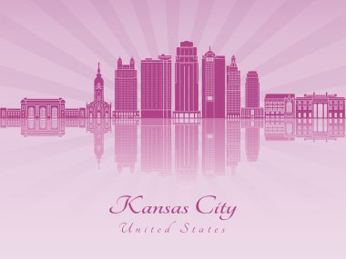 Mor parlak orkide Kansas City V2 manzarası