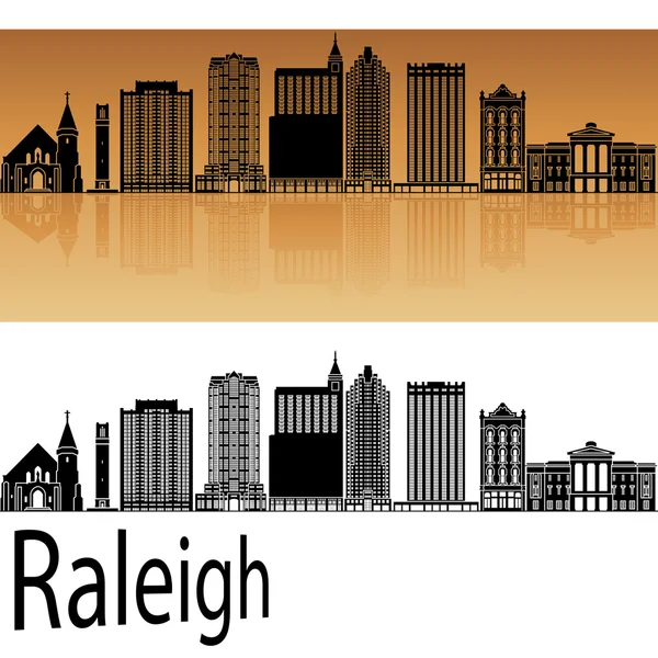 Raleigh V2 skyline in orange — Stock Vector