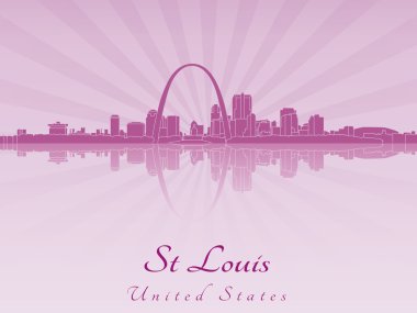 St louis manzarası içinde mor parlak orkide