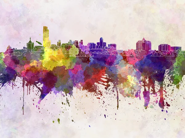 Albany skyline in watercolor background — Stock Photo, Image