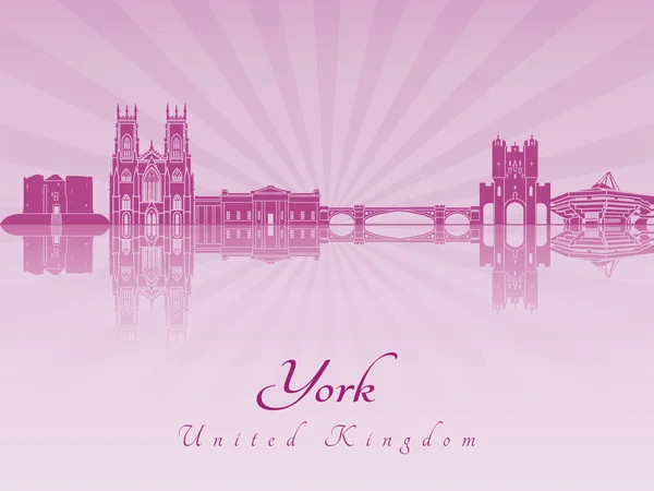 York-i skyline lila sugárzó orchidea — Stock Vector