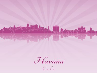 Mor parlak orkide Havana manzarası