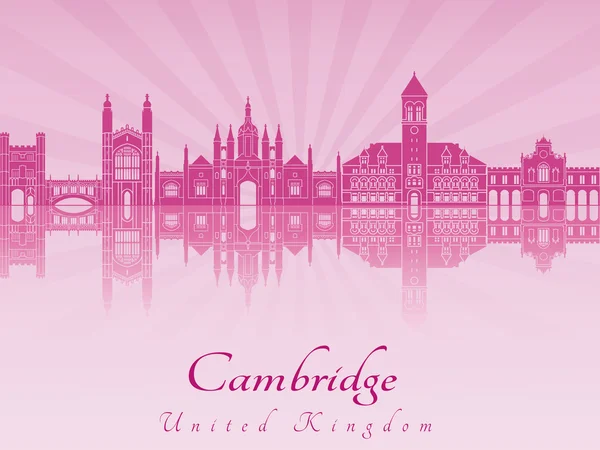 Skyline de Cambridge en orquídea radiante púrpura en fi editable del vector — Vector de stock