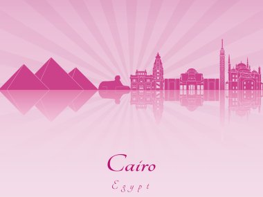Mor parlak orkide Cairo manzarası