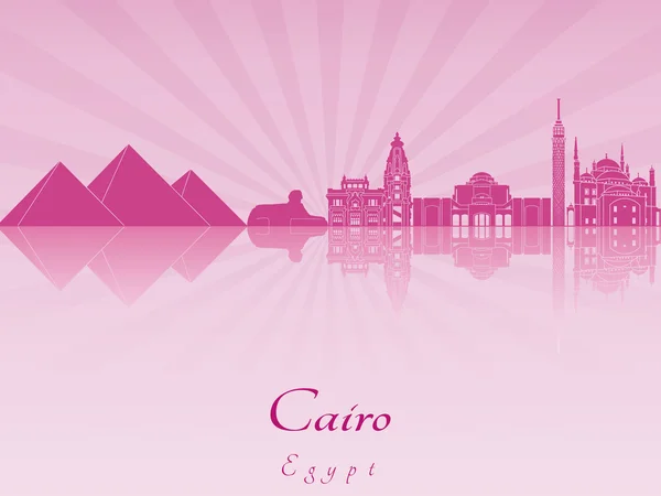 Cairo silhuett i lila strålande orchid — Stock vektor