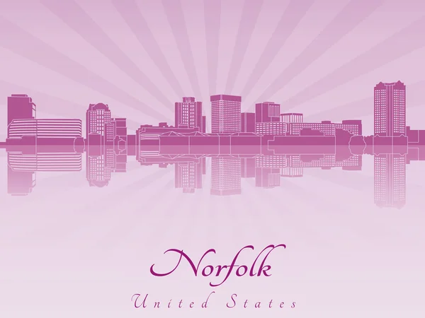 Norfolk skyline in purple radiant orchid — Stock Vector