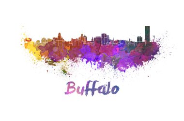 Suluboya Buffalo manzarası