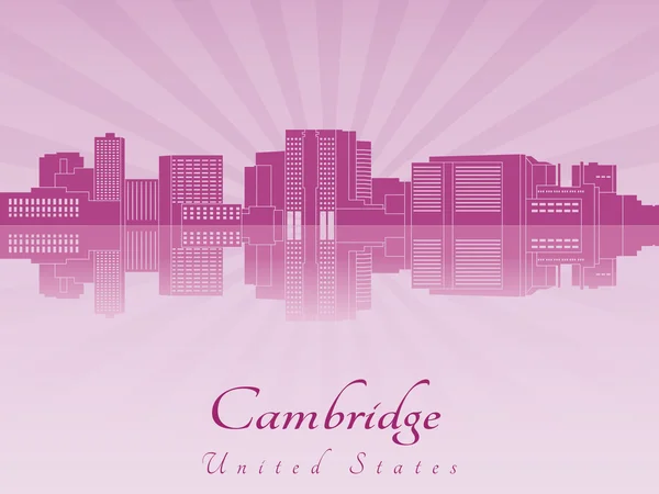 紫色を放射した蘭のケンブリッジ マサチューセッツ州スカイライン — ストックベクタ