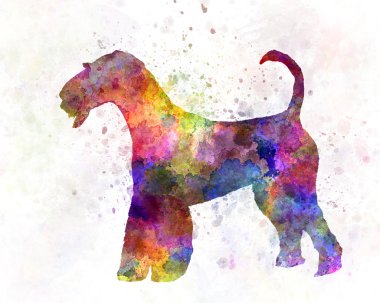 Airedale Terrier 01 in watercolor clipart