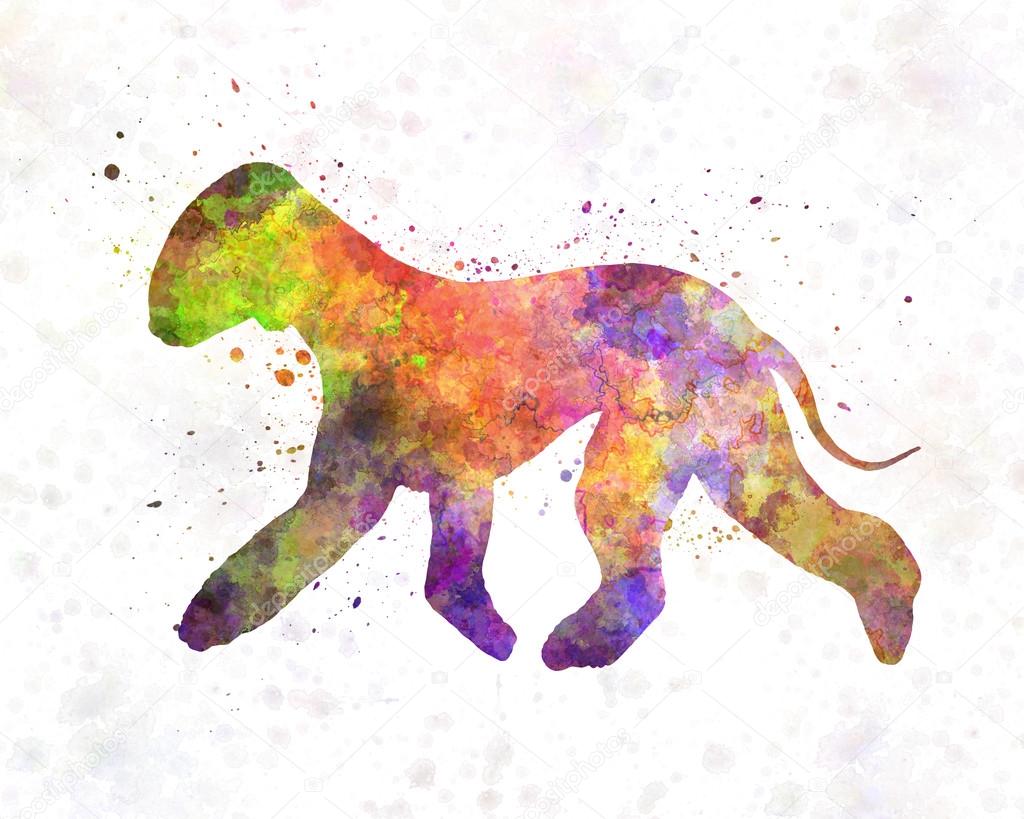 Bedlington Terrier in watercolor