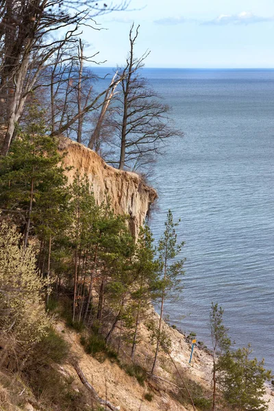 Gdynia Polen Orlowo Hög Klippa Över Gdansk Bay Östersjön — Stockfoto